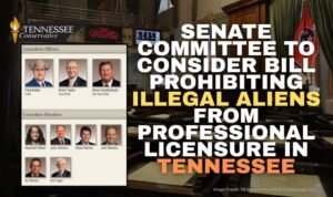 Senate Committee To Consider Bill Prohibiting Illegal Aliens From Professional Licensure in Tennessee