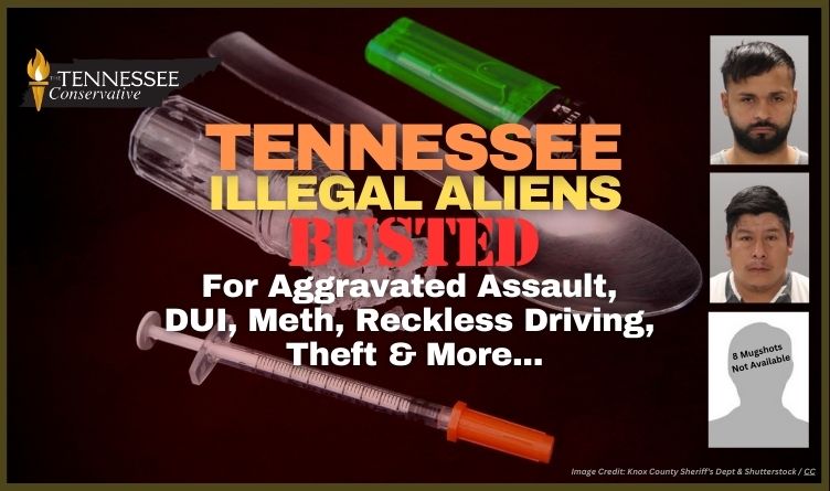 Tennessee Illegal Aliens Busted For Aggravated Assault, DUI, Meth, Reckless Driving, Theft & More...