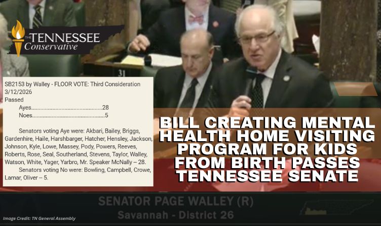 Bill Creating Mental Health Home Visiting Program For Kids From Birth Passes Tennessee Senate