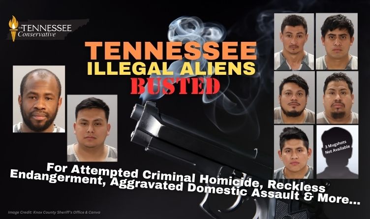 Tennessee Illegal Aliens Busted For Attempted Criminal Homicide, Reckless Endangerment, Aggravated Domestic Assault & More...