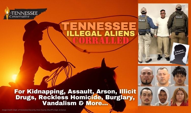 Tennessee Illegal Aliens Corralled For Kidnapping, Assault, Arson, Illicit Drugs, Reckless Homicide, Burglary, Vandalism & More...