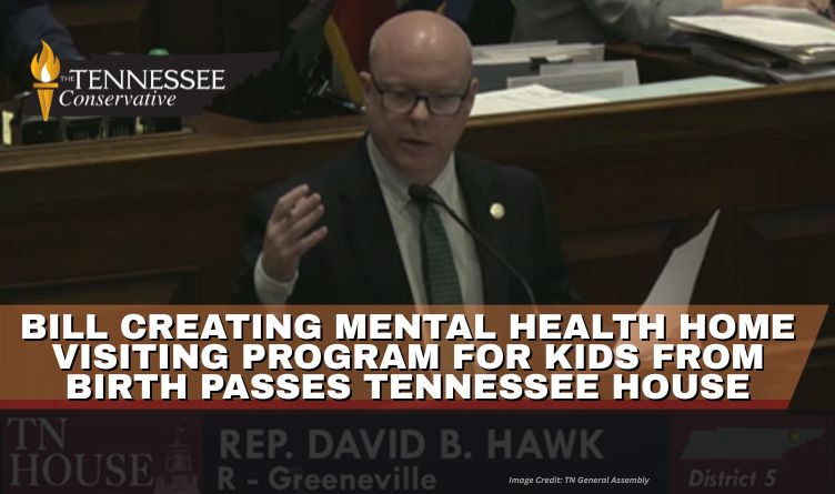 Bill Creating Mental Health Home Visiting Program For Kids From Birth Passes Tennessee House