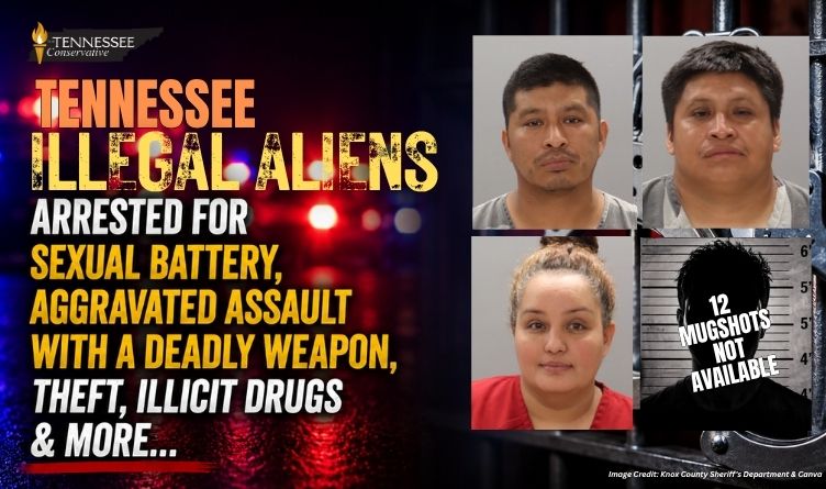 Tennessee Illegal Aliens Arrested For Sexual Battery, Aggravated Assault With A Deadly Weapon, Theft, Illicit Drugs & More…