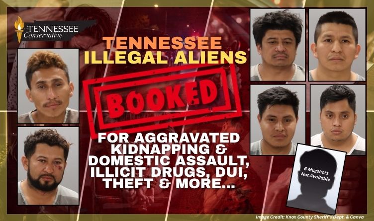 Tennessee Illegal Aliens Booked For Aggravated Kidnapping & Domestic Assault, Illicit Drugs, DUI, Theft & More...