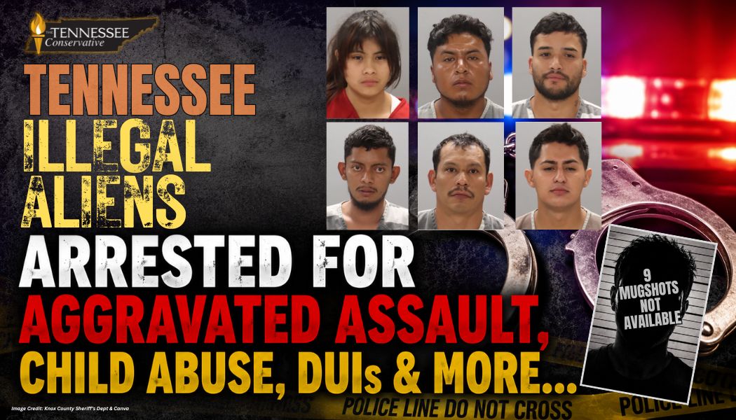 Tennessee Illegal Aliens Arrested For Aggravated Assault, Child Abuse, DUIs & More...