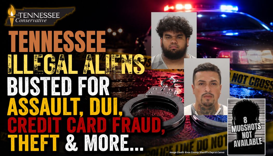 Tennessee Illegal Aliens Busted For Assault, DUI, Credit Card Fraud, Theft & More...