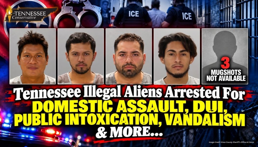 Tennessee Illegal Aliens Arrested For Domestic Assault, DUI, Public Intoxication, Vandalism & More...