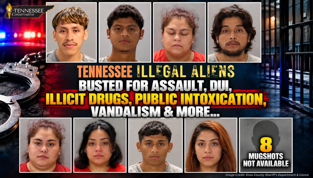 Tennessee Illegal Aliens Busted For Assault, DUI, Illicit Drugs, Public Intoxication, Vandalism & More...